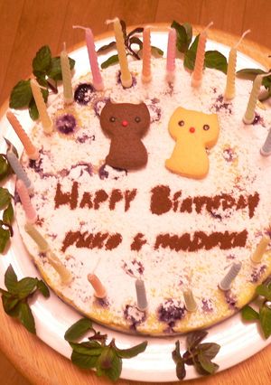 ホワイトショコラチーズケーキ-レシピのメイン写真