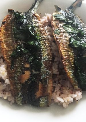 サンマの塩焼き-レシピのメイン写真