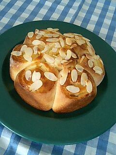 天然酵母のりんごパン(ホシノ酵母)-レシピのメイン写真