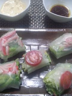 生春巻きのサラダ-レシピのメイン写真