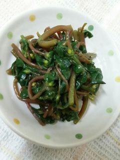スベリヒユのお浸し-レシピのメイン写真