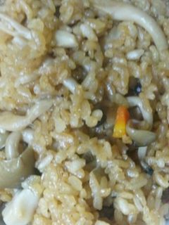 シンプルな鳥肉としめじの炊き込みご飯-レシピのメイン写真