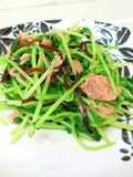 簡単・即席☆豆苗のツナ塩昆布炒め