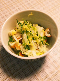白菜と豆苗のサラダ-レシピのメイン写真