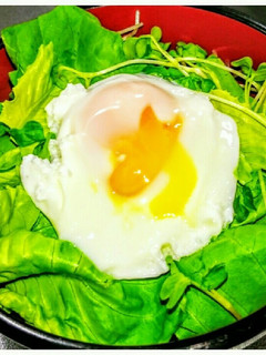 簡単レシピ(๑ºั╰╯ºั๑)サラダ丼-レシピのメイン写真