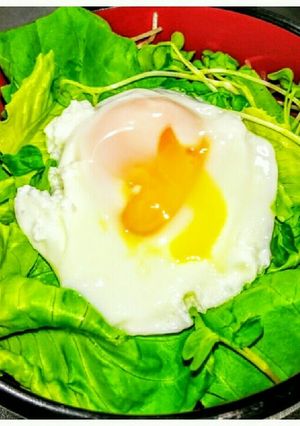簡単レシピ(๑ºั╰╯ºั๑)サラダ丼-レシピのメイン写真