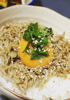ごま風味のしらす丼-レシピのメイン写真