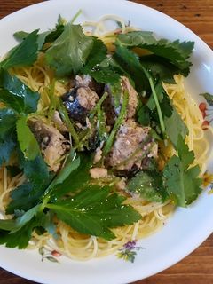 サバ水煮缶とミツバのパスタ-レシピのメイン写真