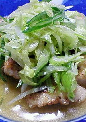 鶏むね肉のサラダぶっかけ☆-レシピのメイン写真