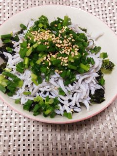 鎌倉のしらす丼♩-レシピのメイン写真