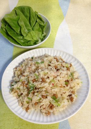納豆とねぎのチャーハン-レシピのメイン写真