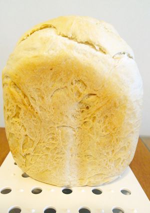 HB食パンコースで♪ソフトフランスパン-レシピのメイン写真