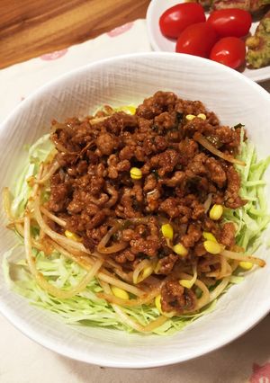甘辛な肉味噌もやし炒め丼-レシピのメイン写真