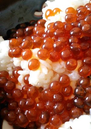 おじいちゃん直伝。いくらの醤油漬け♡-レシピのメイン写真