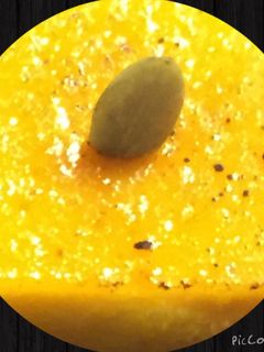 かぼちゃのプリン-レシピのメイン写真