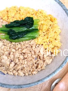 簡単!美味しい!そぼろ丼-レシピのメイン写真
