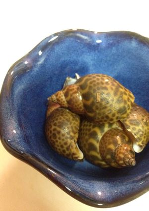 旨い‼︎バイ貝の煮付け〜残り汁は絶品‼︎-レシピのメイン写真
