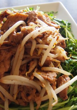 ☆豚肉のみそもやし炒め☆-レシピのメイン写真