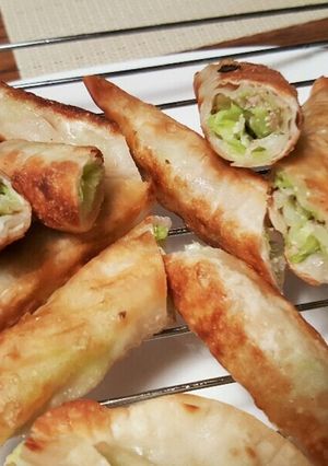 キャベツとツナの棒春巻き☆粉高野豆腐入り-レシピのメイン写真