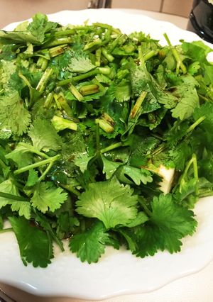 切ってのせてかけるだけ。超簡単な香菜豆腐-レシピのメイン写真