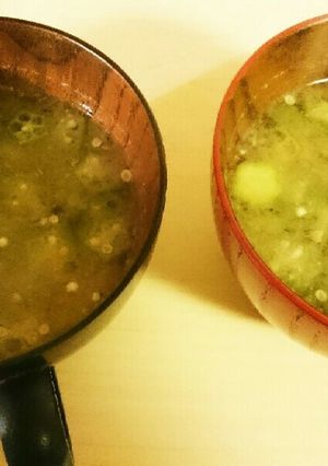 腸に優しい腸活お味噌汁-レシピのメイン写真