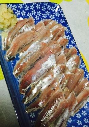 イワシの刺身 酢〆-レシピのメイン写真