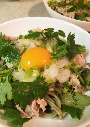 パクチー麺-レシピのメイン写真