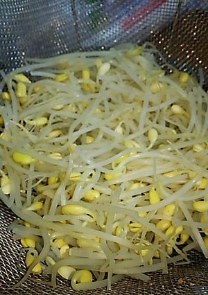大豆もやしのゆで方-レシピのメイン写真