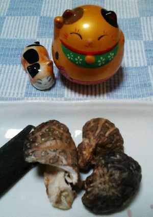 お水に入れるだけ♪簡単おダシ☆-レシピのメイン写真