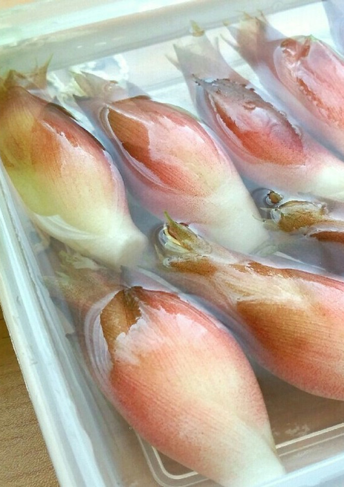 水で簡単☆シャキシャキみょうがの保存方法-レシピのメイン写真