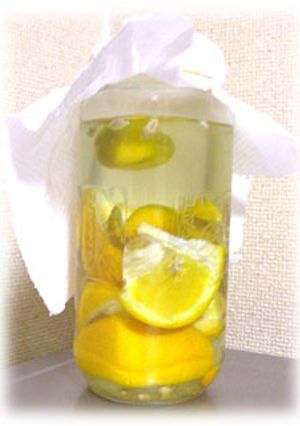 夏みかん酵母-レシピのメイン写真