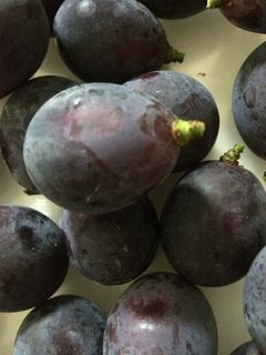 ぶどうの保存方法-レシピのメイン写真