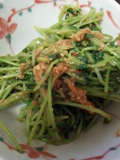 豆苗とキムチのごま和え-レシピのメイン写真
