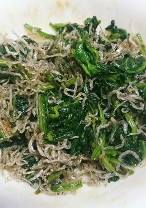 ほうれん草とちりめんの和え物-レシピのメイン写真