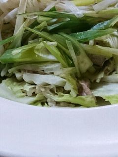 豚肉白菜ミルフィーユ◎-レシピのメイン写真