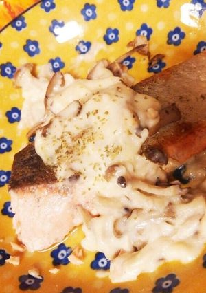 焼き鮭のクリームソース-レシピのメイン写真