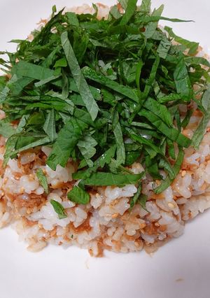 全部1で作る!シーチキンの佃煮の混ぜご飯-レシピのメイン写真