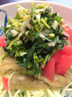 香味野菜☆アジア 焼きナスサラダ-レシピのメイン写真