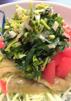 香味野菜☆アジア 焼きナスサラダ-レシピのメイン写真