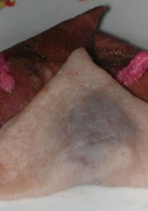 レンジで簡単!生八つ橋-レシピのメイン写真