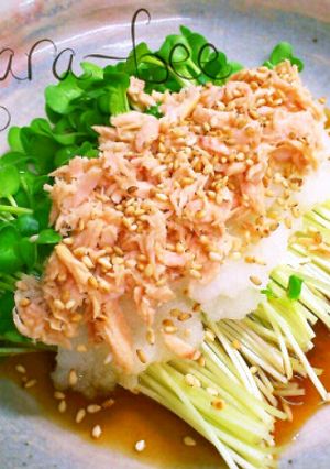 痩せおつまみ＊和風ツナおろしカイワレ-レシピのメイン写真