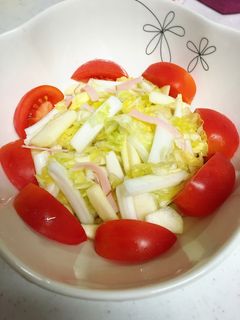 白菜とリンゴのシャキシャキサラダ-レシピのメイン写真