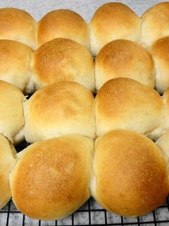 ヨーグルトとココナッツオイルのちぎりパン-レシピのメイン写真