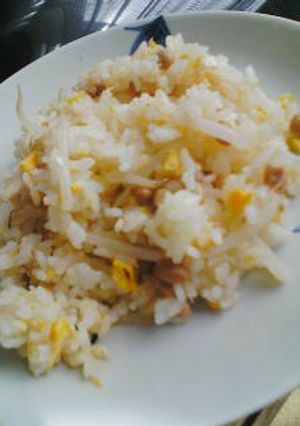 もやしと納豆のチャーハン-レシピのメイン写真