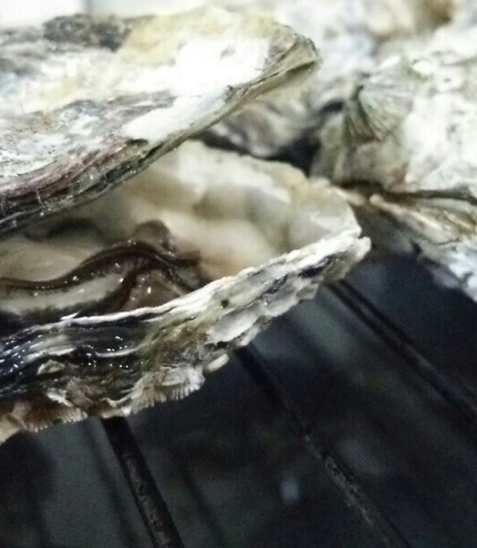 簡単☆殼つき牡蠣の魚焼きグリル焼き-レシピのメイン写真