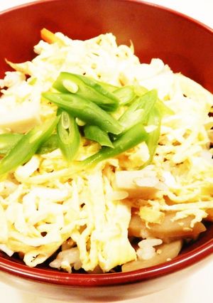 新こうや豆腐入り野菜ごはん-レシピのメイン写真