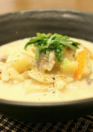 ✾酒粕豆乳うどんorおじや✾-レシピのメイン写真