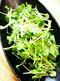 摘み菜と水菜のサラダ-レシピのメイン写真