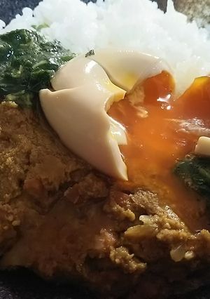 粉豆腐のヘルシー節約キーマカレー-レシピのメイン写真
