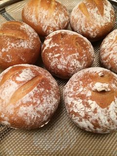 レーズン酵母の丸パン-レシピのメイン写真